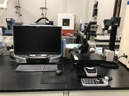 用于材料微观结构和失效分析的数码显微镜